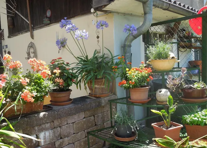 Fruehstueckspension Kammerer Bed & Breakfast Pöchlarn